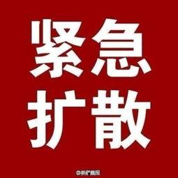 大爆料最新消息新闻,最新独家新闻震撼来袭,揭秘事件背后惊人真相!